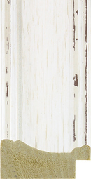 POL-1088