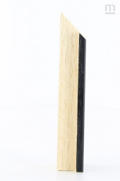 POL-2311