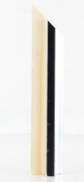 POL-2311