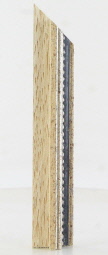 POL-2311