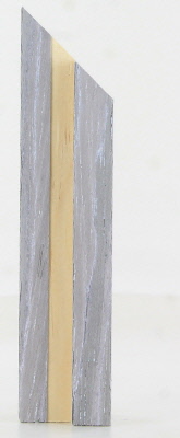 POL-2311