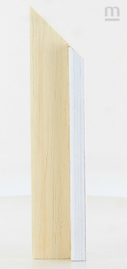 POL-2311